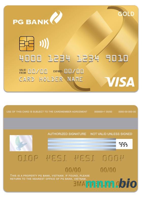 Vietnam PG Bank visa credit złoto karta przykład w formacie PSD